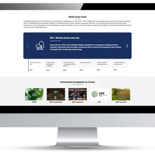 United Nations Forum on Forests